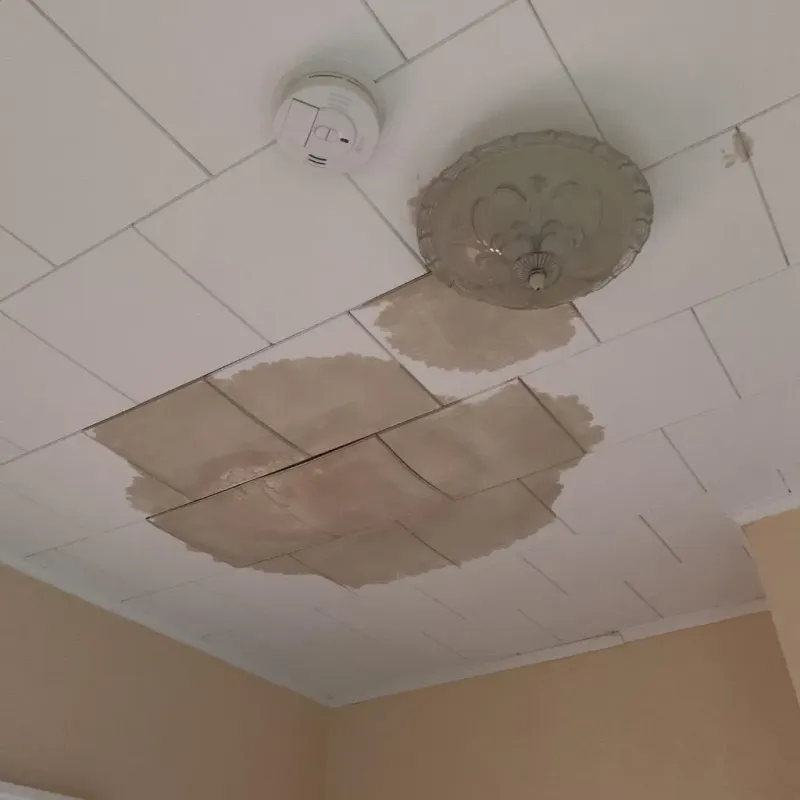 Ceiling Water Damage Repair in Spry, PA