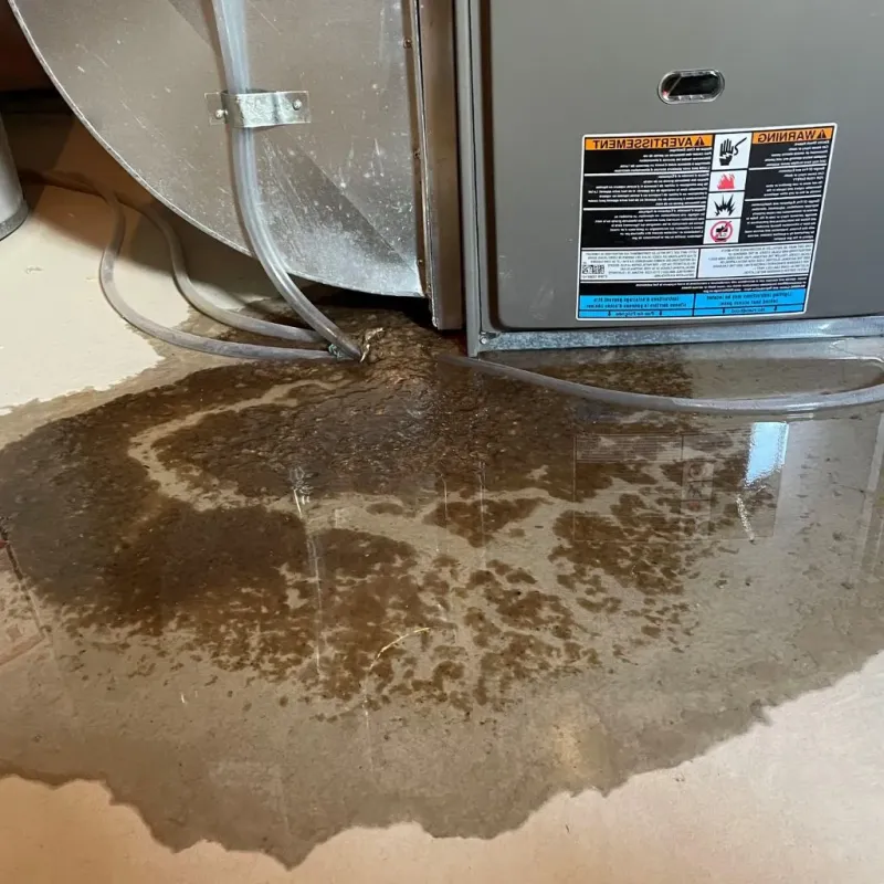 Pipe Burst and Leak Restoration in Spry, PA